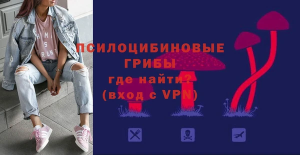 дурь Алексин