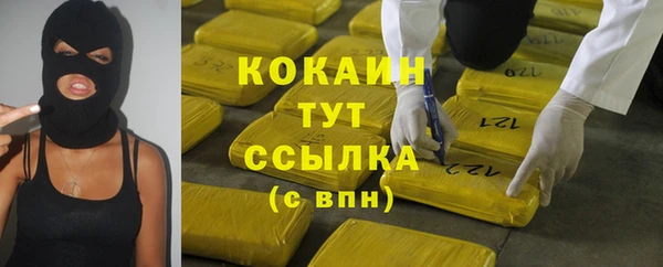 прущий лед Алзамай