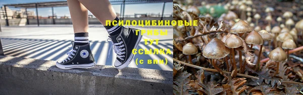 прущий лед Алзамай
