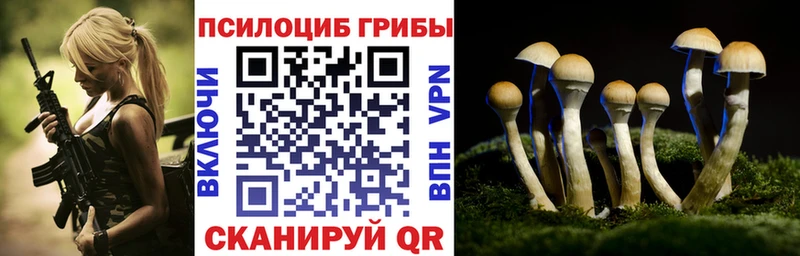Псилоцибиновые грибы Cubensis  mega ССЫЛКА  Сунжа  цена  
